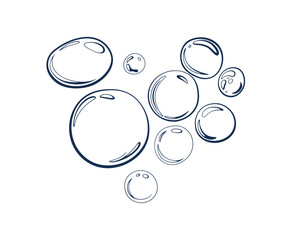 Clear water droplets and bubbles illustration on white background