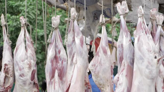Freshly Cut Meat - Authentic Indian Gobbets for Culinary Delight