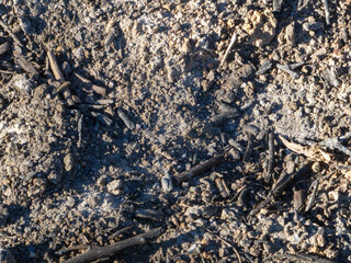 Charred Debris on Dry Earth Texture Background.