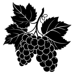 Fototapeta premium grapes vector illustration