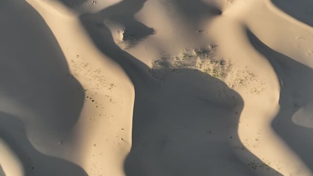 Aerial view of the undulating sand dunes, with shifting shadows creating a mesmerizing pattern, Govi-Altai, Mongolia.