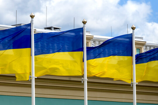 Ukrainian national flags wave on flagpoles near the Mariinsky Palace in Kyiv during Ukraine Independence Day celebrations on August 24, 2025