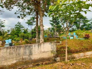 Rural Cemetery Surrounded by Lush Greenery and Trees