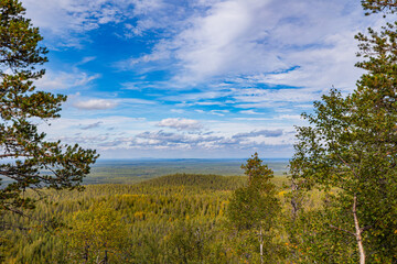 Obraz premium Autumn landscape from Konttainen hill and colorful forest. Kuusamo. Finland