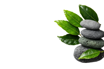 Stacked gray stones, surrounded by vibrant green leaves, on a dark background