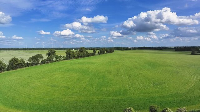 Aerial view of sprawling green fields contrasting with the deep blues of the sky dotted with fluffy white clouds, Br&uuml;ssow Uckermark, Brandenburg, Germany.