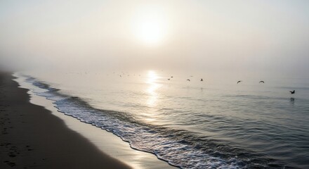 Fototapeta premium Seagulls fly over the ocean at sunrise on a foggy beach