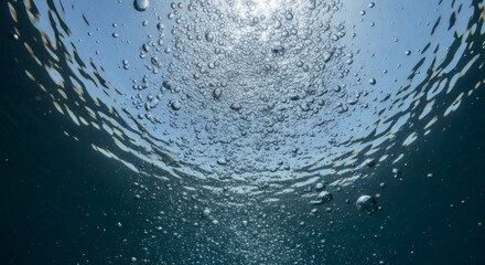 Underwater view of numerous air bubbles rising towards the sunlit surface