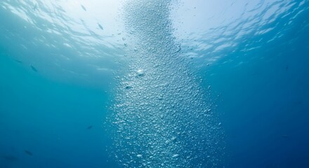 Underwater view of sunlight filtering through water with a column of bubbles rising from below
