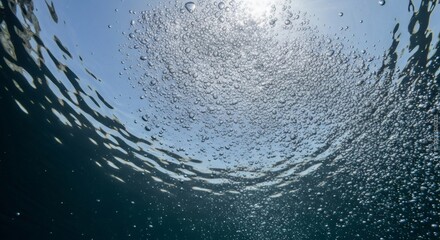 Underwater view of the sun and numerous air bubbles rising to the surface