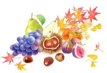 紅葉を背景にした秋冬のフルーツの集合。栗、柿、イチジク、洋梨、ブドウの水彩イラスト。 