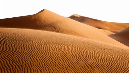 golden sand dunes with smooth natural wavy patterns and fine texture resembling desert landscape curves and ripples create calm and serene visual appearance isolated on white background