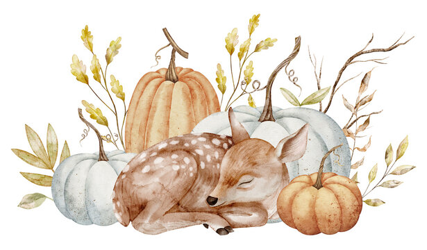 Watercolor Fawn sleeping among pumpkins and autumn plants. Illustration of Deer for harvest greeting cards or invitations. Autumn compositions with forest animal and fall leaves