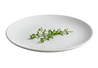 A pristine, round, white ceramic plate with a vibrant green sprig of fresh thyme, macro detailed on a seamless transparent studio background. Commercial product photography concept