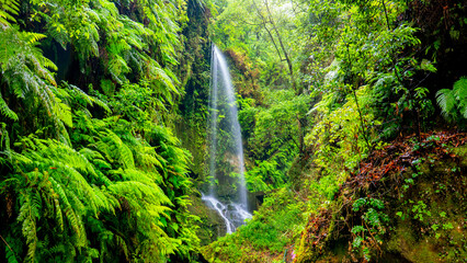 Cascada de Los Tilos, La Palma, Canary Islands