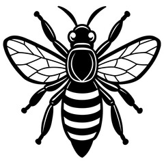 Fototapeta premium bee vector illustration