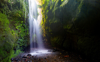 Los Tilos, La Palma, Canary Islands