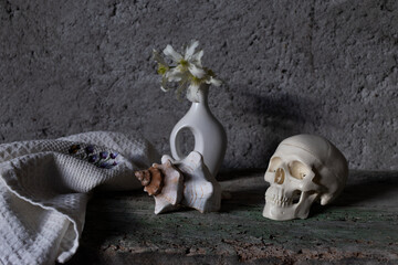 still life with vase and skull