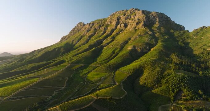 Aerial view of lush green vineyards cascading down from a rugged mountain peak under a clear sky, Stellenbosch, Western Cape, South Africa.
