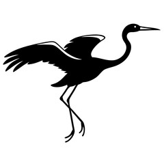 black and white heron