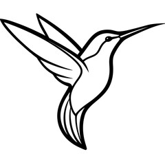 hummingbird vector illustration