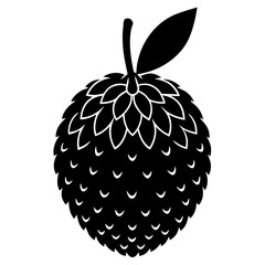 Lychee Fruit Vector