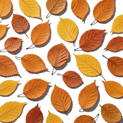 Vibrant Autumn Leaves Scattered on White Background