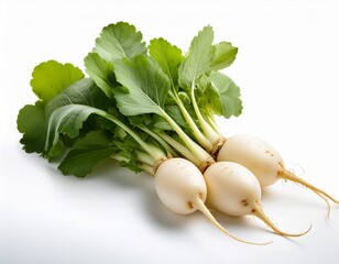 organic fresh white radish isolated on a white background