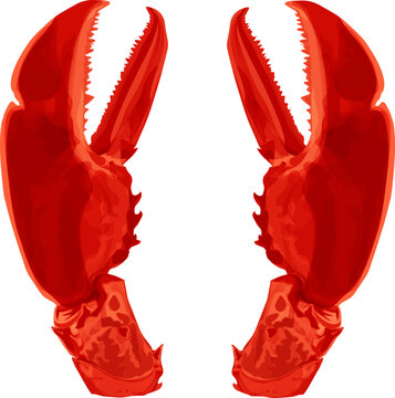 Detailed crayfish claw close-up in isolated vector style, ideal for restaurant branding and menu design.