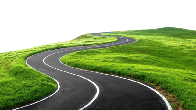Serpentine asphalt roadway curving through verdant meadowland, symbolizing travel trajectory and exploratory pathways