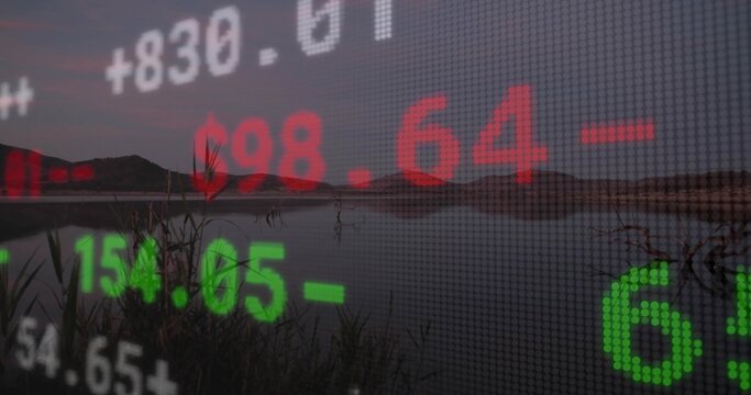 Fototapeta Overlaying semi-transparent stock ticker display across lakeshore reeds at dusk, with stock numbers