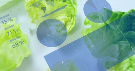 Overlaying crisp green lettuce leaves in graphic composition, with blue data panel and UI charts