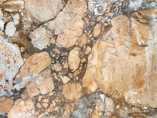 Close up of brown red marble with dark black veins. a type luxurious and elegant material for flooring and wall construction. Seamless minerals background texture.