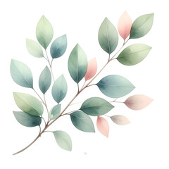 Botanical Whispers Isolated On White Background: An elegant watercolor illustration of delicate leaves, displaying a graceful array of botanical beauty and vibrant color.