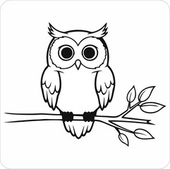 owl sitting on branch