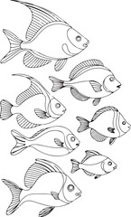 fish vector illustration