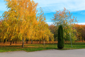 View of the city park at autumn