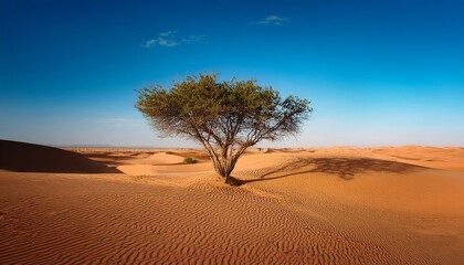 Fototapeta premium Desert Tree In Arid Land A Resilient Tree In A Hot Arid Climate With Sand Dunes And Blue Sky On The Horizon