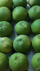 Abundance of fresh green citrus fruits. Grapefruits