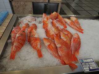 Funchal Traditional Covered Market