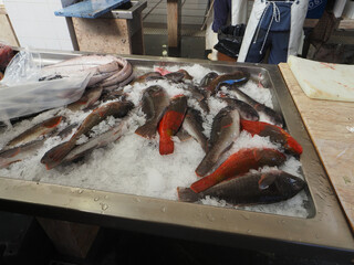 Funchal Traditional Covered Market