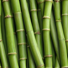 Seamless Green Bamboo Stalks Texture
