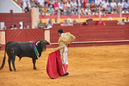 A matador in a golden suit holds a red cape while facing a black bull in the arena during a bullfight in Almeria, Spain, with spectators watching. Action, tradition