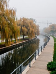 Tranquil autumn scene with weeping willows by the riverbank foggy morning nature photography serene environment