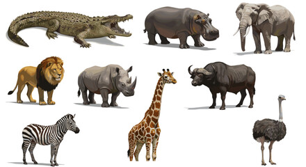 Obraz premium Collection of African Safari Animals in Realistic Style Isolated on White Background
