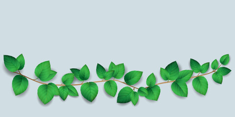 Fresh green leaves with branch vector illustration.