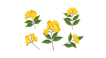 Beautiful yellow flowers with green leaves collection delicate blossoms springtime flora natural beauty garden blooms botanical illustrations