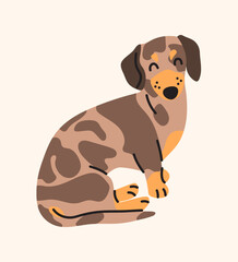 Dachshund flat illustration. Cute sausage dog, sitting pose, emotions and actions. Happy pet, cheerful puppy characters, doxie breed, cartoon flat mascot, adorable playful animal.