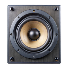 speaker isolated on white background