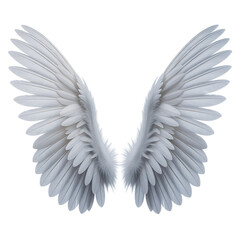 Obraz premium White feathered wings spread symmetrically isolated on white background symbolizing purity freedom angelic or fantasy theme